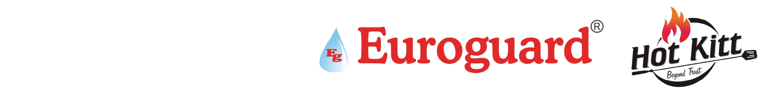 Euro Logo