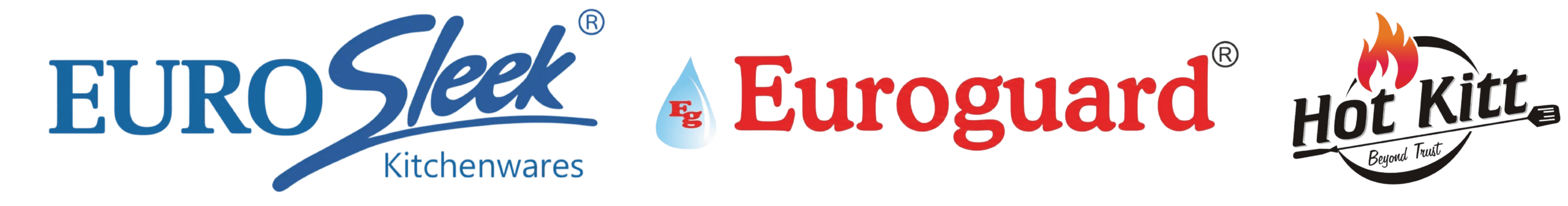 Euro Logo White BG